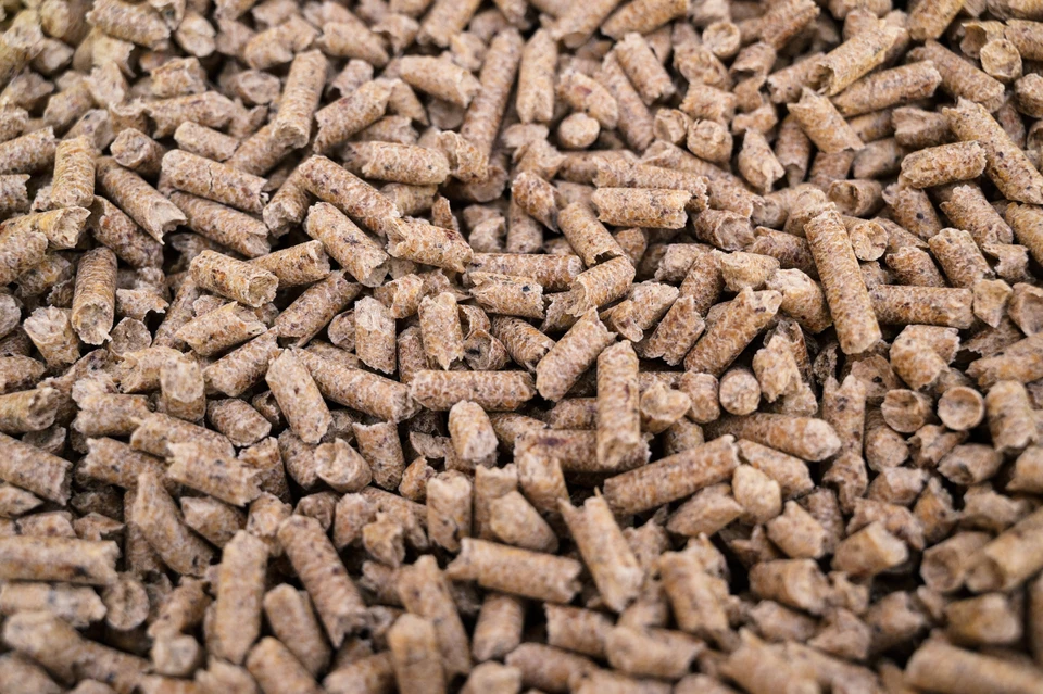 Amas de granulés de bois cylindriques beiges et bruns dispersés en vrac